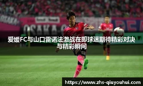 爱媛FC与山口雷诺法激战在即球迷期待精彩对决与精彩瞬间